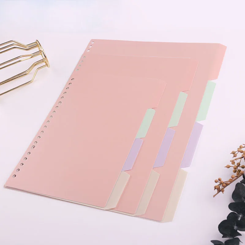 플라스틱 분류 페이지 탭, A5 플래너 인덱스 분할기, - Tab Divider A4 리뷰 및 가격