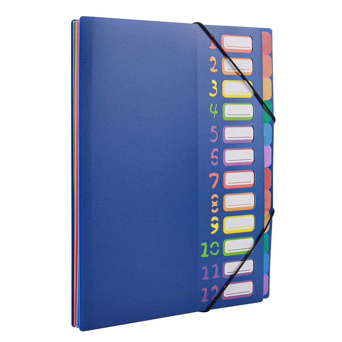 A4 크기 레인보우 탭 확장 파일 폴더-24 포켓, 내 - Tab Divider A4 리뷰 및 가격